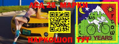 крисы Малоярославец