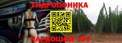 крисы Малоярославец