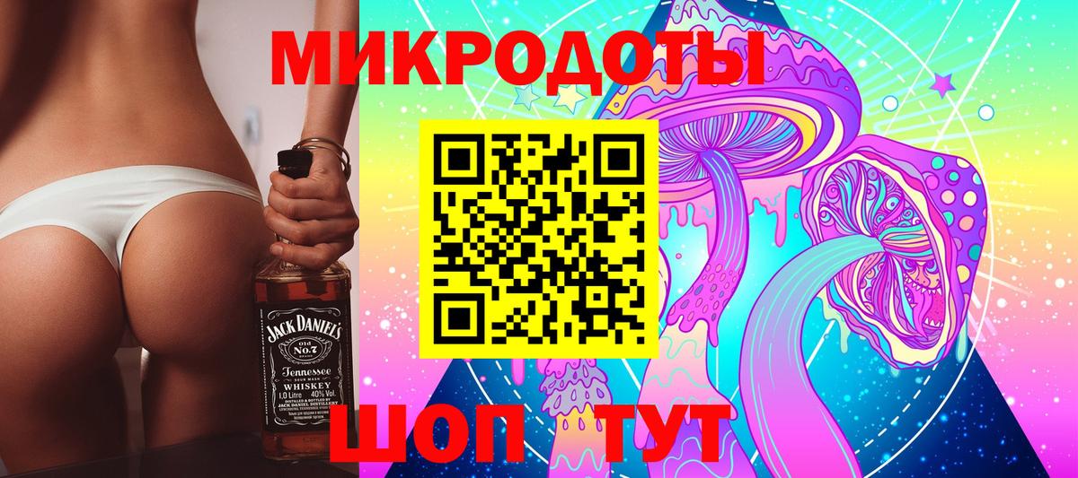 Псилоцибиновые грибы Psilocybe Дивногорск