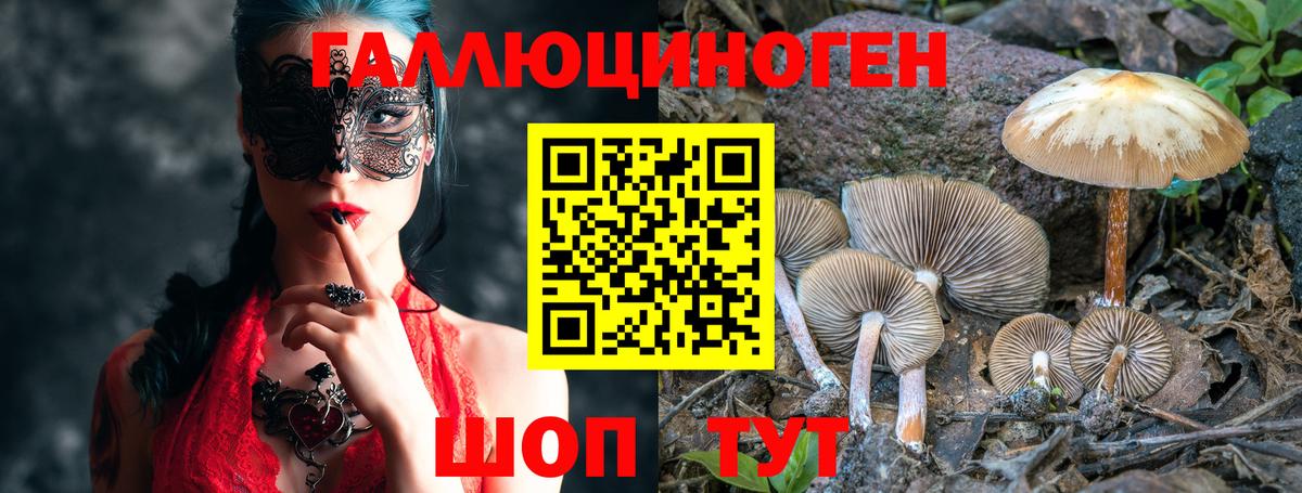Кокаин  ТГК  Конопля  МДМА  Наркошоп  ГАШИШ  МЕФ кристаллы  Дивногорск  Кетамин  Вход с VPN 