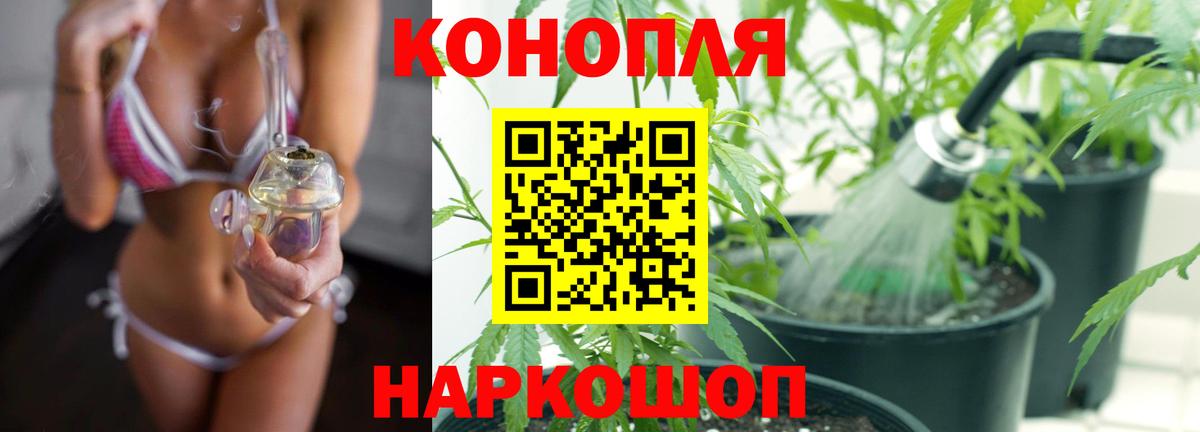 Бошки марихуана THC 21% Дивногорск